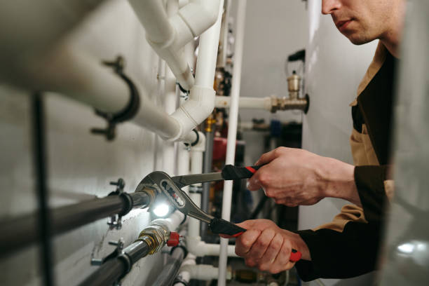Best Plumbing Services Near Me  in Pepeekeo, HI