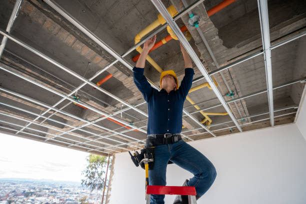 Best Sewer Line Repair  in Pepeekeo, HI