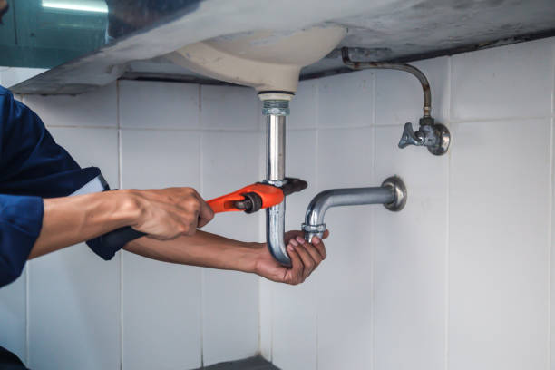 Best Affordable Plumber Near Me  in Pepeekeo, HI