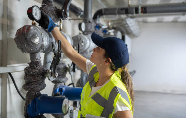 Best Hot Water Heater Installation  in Pepeekeo, HI