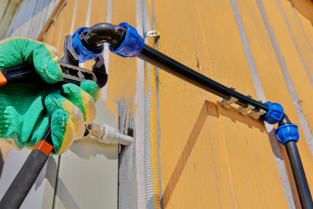 Best Same-Day Plumbing Service  in Pepeekeo, HI
