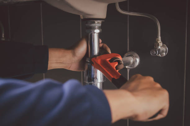 Best Leak Detection Services  in Pepeekeo, HI
