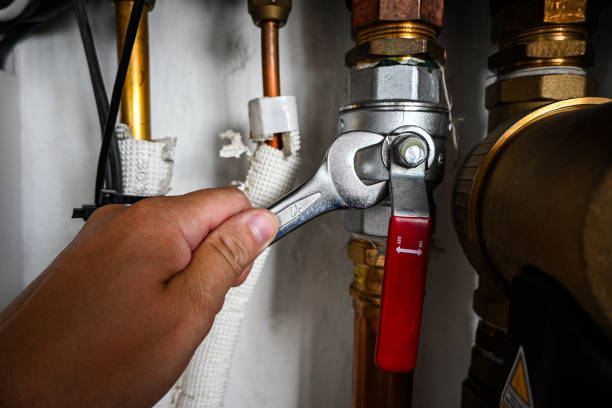 Best Shower Repair Services  in Pepeekeo, HI